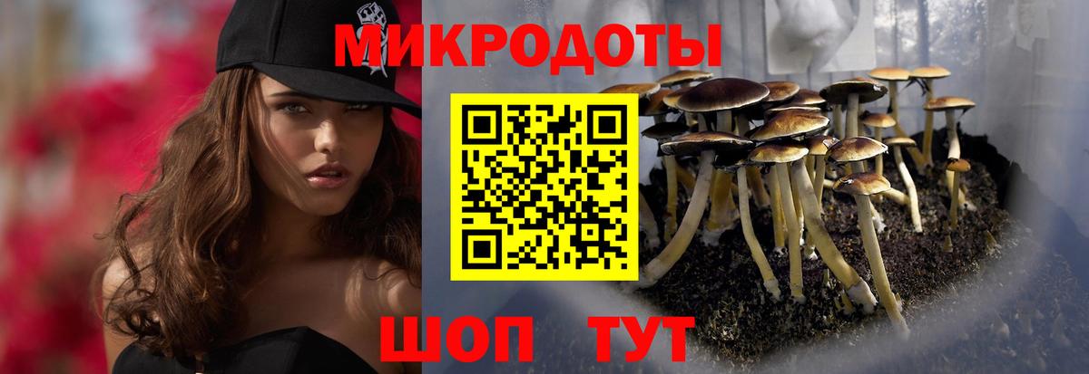 Псилоцибиновые грибы Psilocybe Строитель